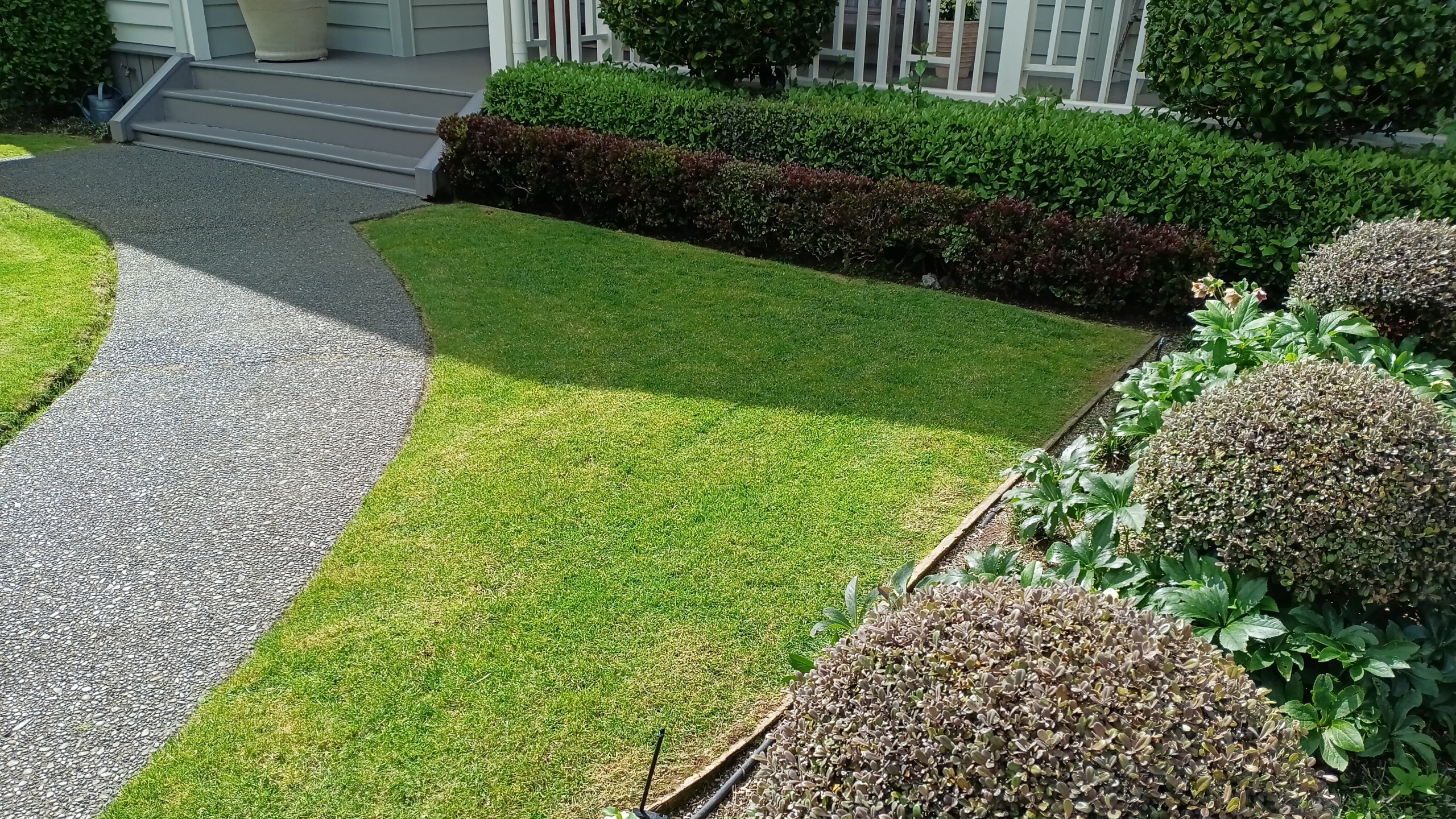 A neatly maintained residential lawn by Charman and Sons